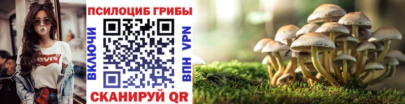 Псилоцибиновые грибы Cubensis  Шагонар 